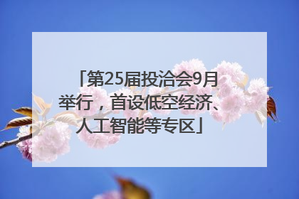 第25届投洽会9月举行，首设低空经济、人工智能等专区